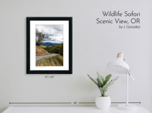 Wildlife Safari Scenic View, OR