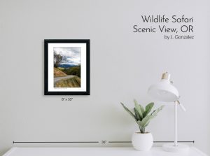Wildlife Safari Scenic View, OR