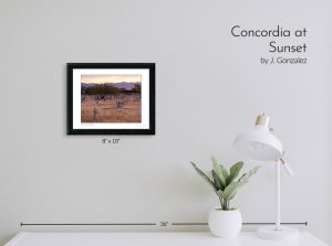 Concordia at Sunset