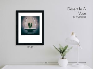 Desert-In-A-Vase