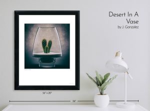 Desert-In-A-Vase