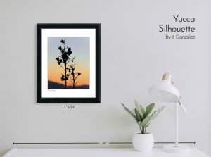 Yucca Silhouette