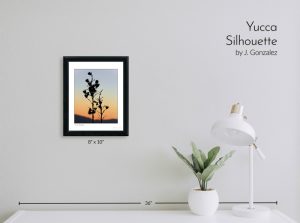 Yucca Silhouette