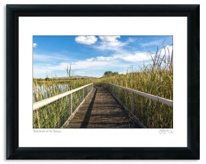 Boardwalk at the Bosque