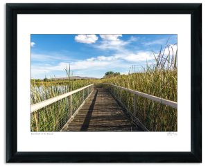 Boardwalk at the Bosque