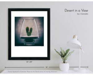 Desert in a Vase