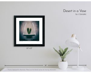 Desert in a Vase