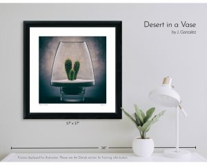 Desert in a Vase