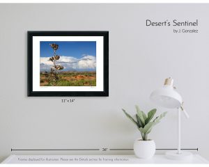 Desert's Sentinel
