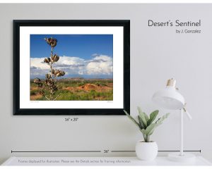 Desert's Sentinel