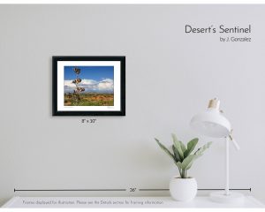 Desert's Sentinel