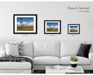 Desert's Sentinel