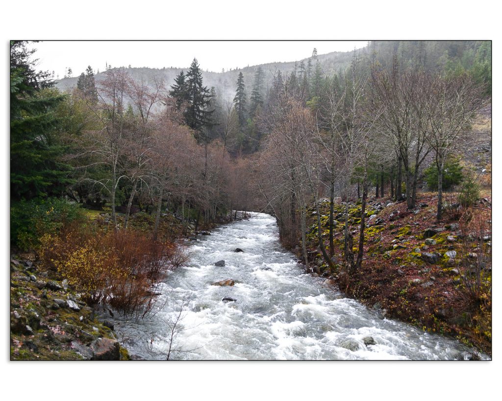 Dreary Day at the Creek