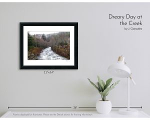 Dreary Day at the Creek
