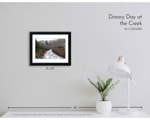 Dreary Day at the Creek
