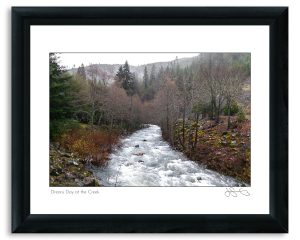 Dreary Day at the Creek