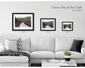 Dreary Day at the Creek