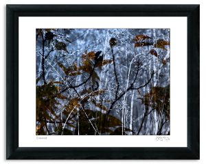 Entwined