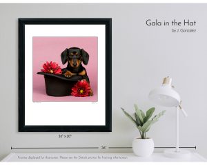 Gala in the Hat