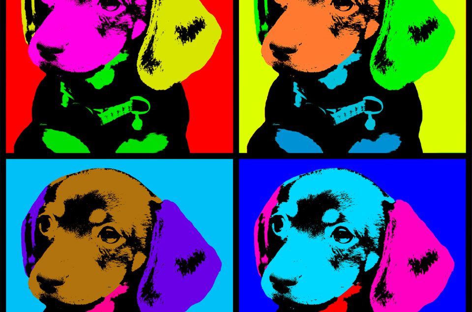 Pop art portrait of a dachshund puppy named Gala, shown in a Warhol-inspired grid with bold, saturated colors and playful expression, celebrating her lively personality and iconic charm.