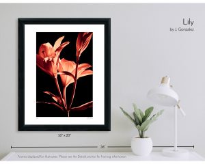 Lily