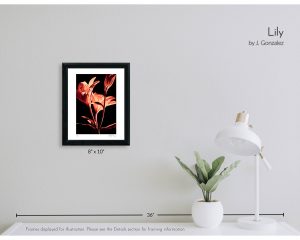 Lily