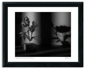 Mapplethorpe Reimagined: Brass Flower