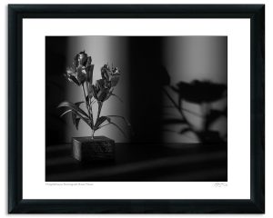 Mapplethorpe Reimagined: Brass Flower