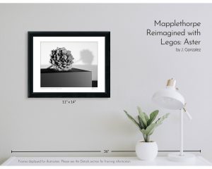 Mapplethorpe Reimagined with Legos: Aster