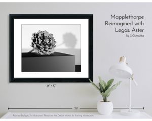 Mapplethorpe Reimagined with Legos: Aster