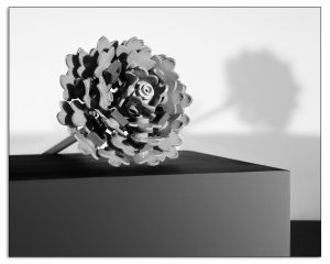 Mapplethorpe Reimagined with Legos: Aster