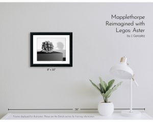 Mapplethorpe Reimagined with Legos: Aster