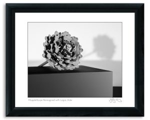 Mapplethorpe Reimagined with Legos: Aster