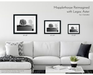 Mapplethorpe Reimagined with Legos: Aster