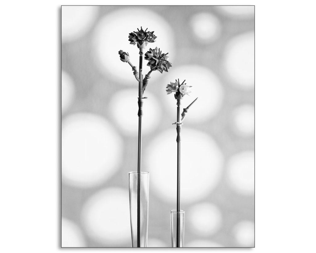 Mapplethorpe Reimagined with Legos: Cornflower