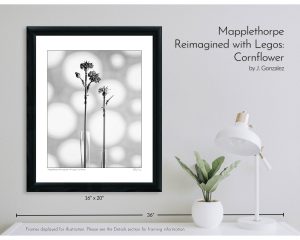 Mapplethorpe Reimagined with Legos: Cornflower