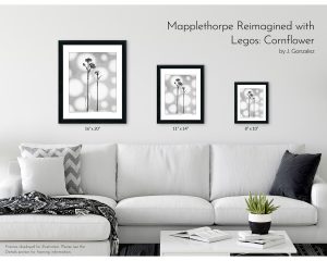 Mapplethorpe Reimagined with Legos: Cornflower