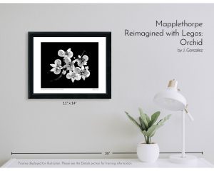 Mapplethorpe Reimagined with Legos: Orchid