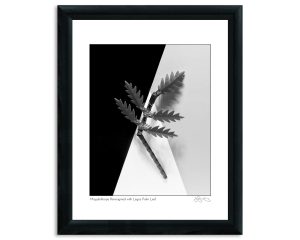 Mapplethorpe Reimagined with Legos: Palm Leaf