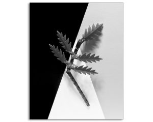 Mapplethorpe Reimagined with Legos: Palm Leaf