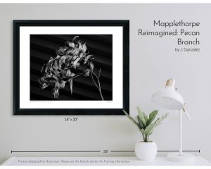 Mapplethorpe Reimagined: Pecan Branch