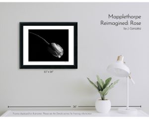 Mapplethorpe Reimagined: Rose