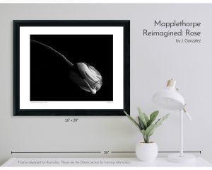 Mapplethorpe Reimagined: Rose