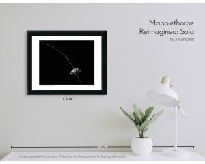 Mapplethorpe Reimagined: Sola
