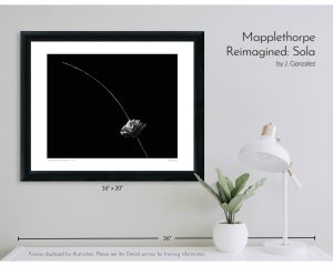 Mapplethorpe Reimagined: Sola