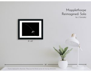 Mapplethorpe Reimagined: Sola