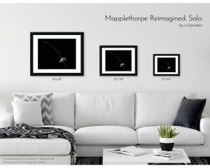 Mapplethorpe Reimagined: Sola
