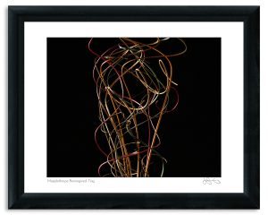 Mapplethorpe Reimagined: Ting