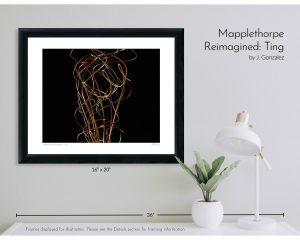 Mapplethorpe Reimagined: Ting