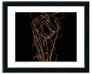 Mapplethorpe Reimagined: Ting
